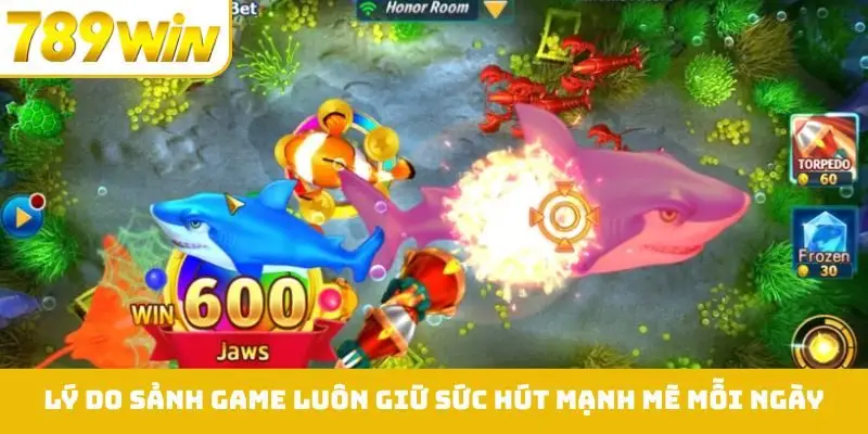 Lý do sảnh game luôn giữ sức hút mạnh mẽ mỗi ngày